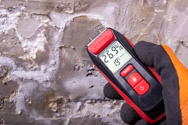Best Professional Mold Removal  in Trappe, PA