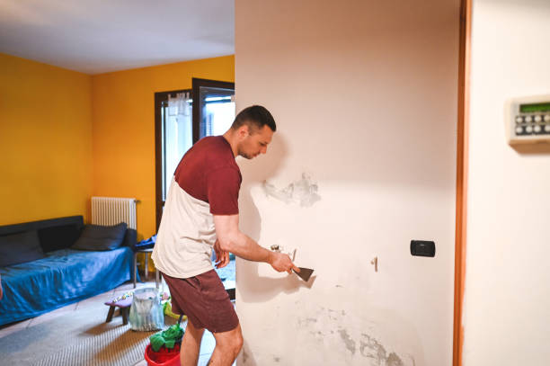 Best Commercial Mold Removal  in Trappe, PA